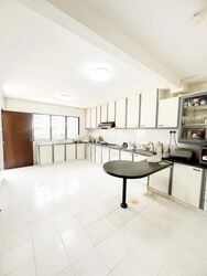 Loyang Rise (D17), Semi-Detached #460075771